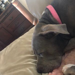 Meet your Posher, Jack